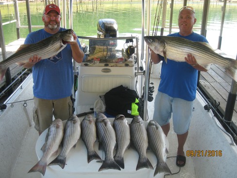 Nice Striped Bass